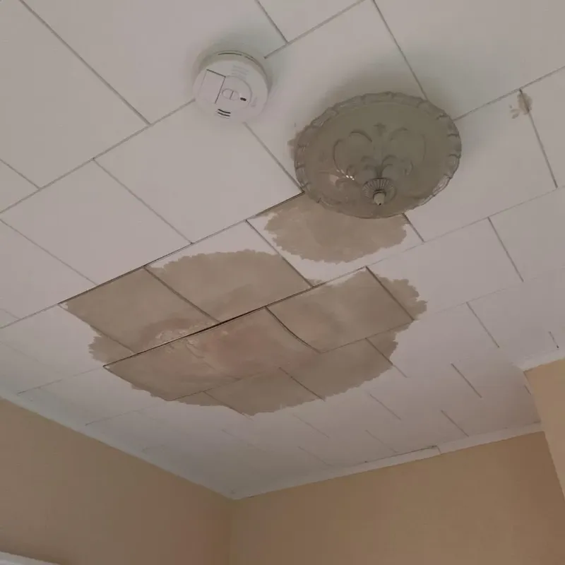 Ceiling Water Damage Repair in Belknap County, NH