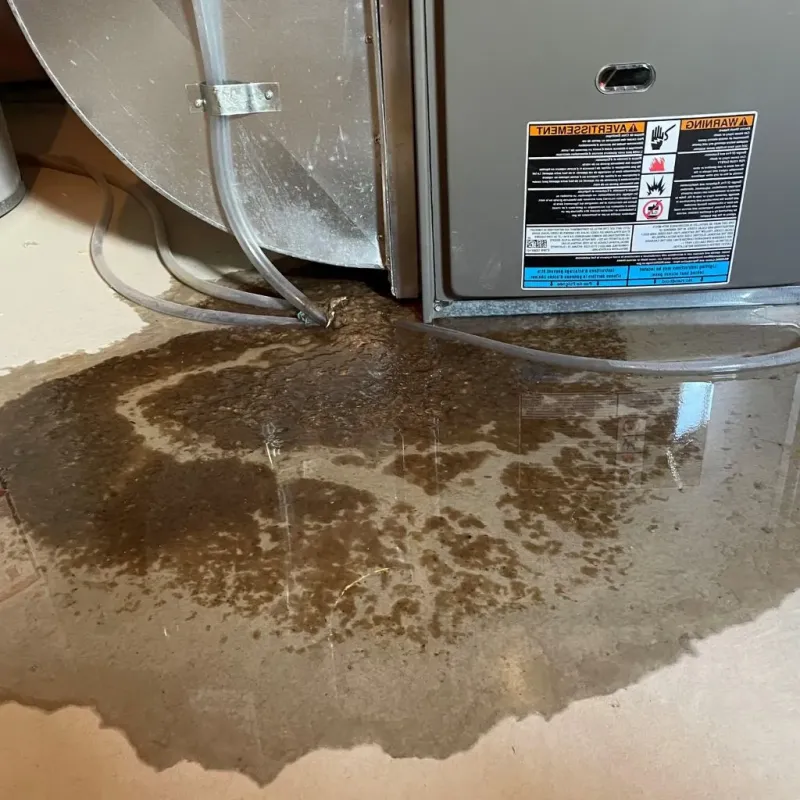 Pipe Burst and Leak Restoration in Belknap County, NH